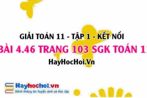 Giải bài 4.46 trang 103 Toán 11 tập 1 SGK Kết nối tri thức